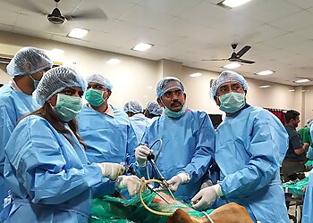 Dr. Sagar Thosar - Pet & Animal