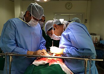 Dr. Sailesh Roy, MBBS, DGO, MS