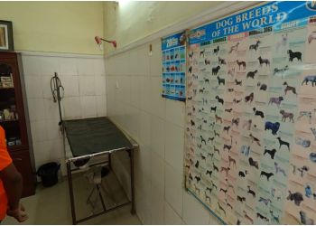 Dr. Sen's Pet Clinic