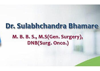 Dr. Sulabh Chandra Bhamare, MBBS, MS, DNB