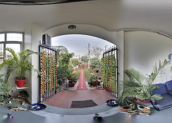 Dr. Sunali's Dental Solutions