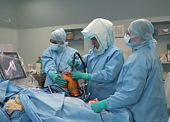 Dr. Sunil Rajan, MBBS, MS (Orthopaedics) - APOLLO HOSPITALS