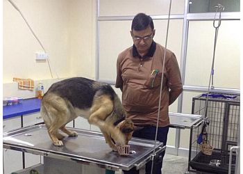 Dr.T.K.Gahlot Veterinary Clinic