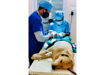 Dr. Vet