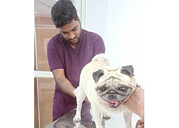 Dr. Viraj Pet Clinic