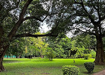 Kolkata Public Parks Elliot Park image 1