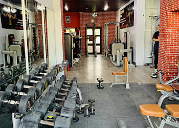 3 Best Gym in Jodhpur - Expert Recommendations