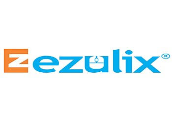 Ezulix Software Private Limited