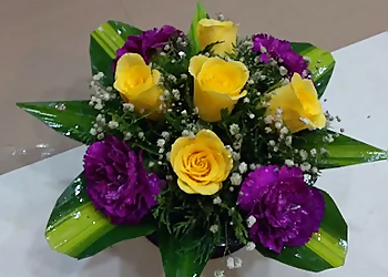 FNP Meerut FNP Meerut