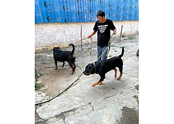 Fairy Tails Pet Home