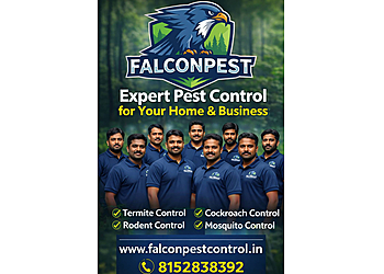 Falcon pest control services