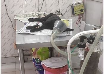 Faridabad Pet Clinic & Surgery Centre