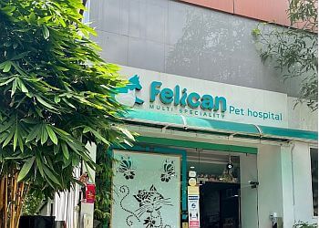 FelicanPetHospital Kochi KL 