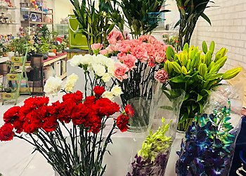 Fern N Petals Bhopal