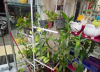 Ferns N Petals Bareilly