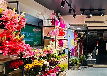 Ferns N Petals Bilaspur