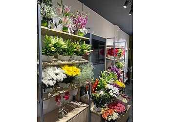 Ferns N Petals Erode