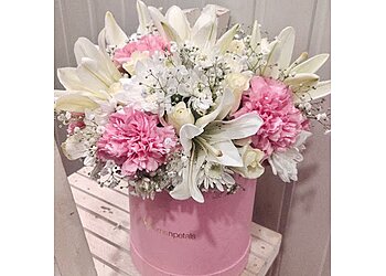 Ferns N Petals Faridabad