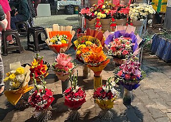 Ferns N Petals Ghaziabad