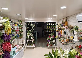 Ferns N Petals Gorakhpur