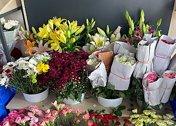 Ferns N Petals Gwalior