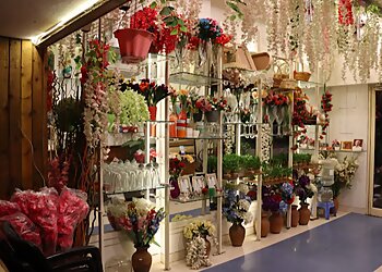 Ferns N Petals Kolhapur