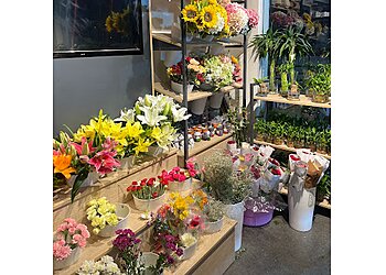 Ferns N Petals Lucknow