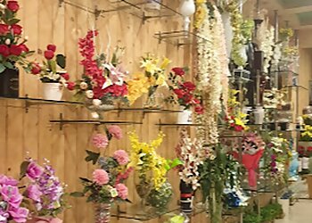 Ferns N Petals Ludhiana