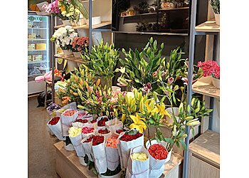 Ferns N Petals Mumbai