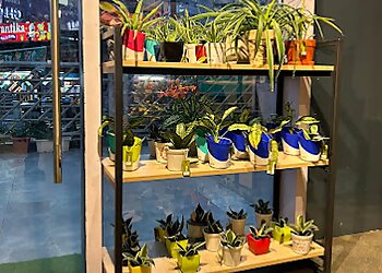 Ferns N Petals Noida