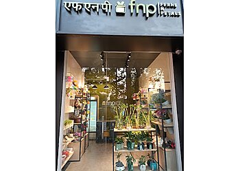 Ferns N Petals Pune