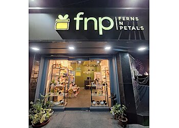 Ferns N Petals Raipur