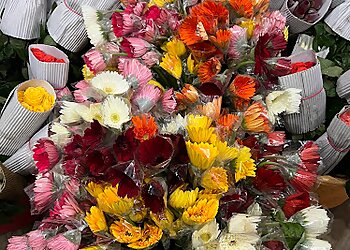 Ferns N Petals Tirupati