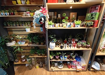 FlowerAura Bhubaneshwar