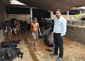 Fur & Feather Vet Surgery Center