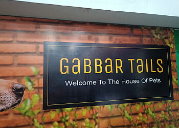 पटना पालतू पशुओं की दुकान Gabbar Tails छवि 1