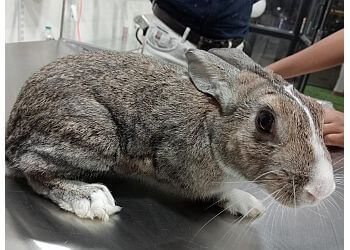 Galaxy Multispeciality Animal Hospital