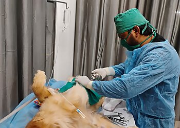 Ganesha Pet Care Centre