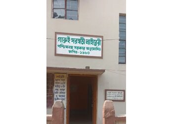 Garui Saraswati Library