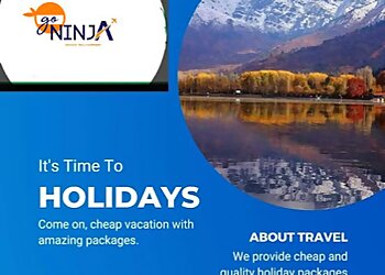 Go-Ninja Travels