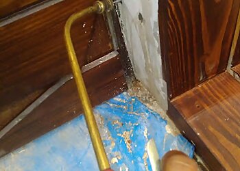 Goodwill Pest Control