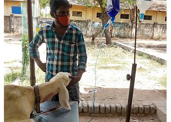 Government Veterinary Hospital