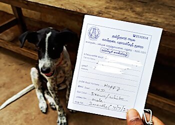 Government Veterinary Hospital