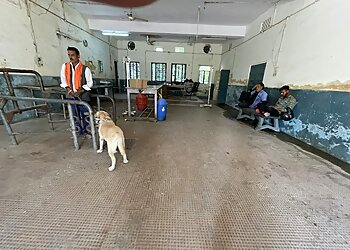 Government Veterinary Polyclinic Hospital