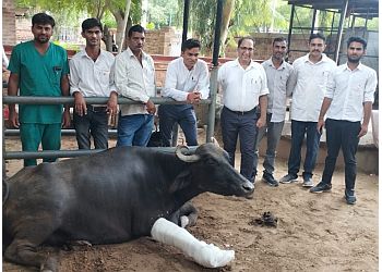 Govt. Veterinary Hospital Jodhpur