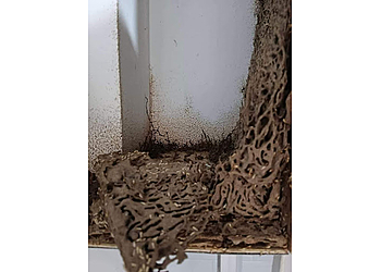 Greenage Pest Control Services