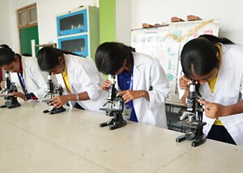 Green valley English school