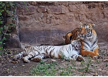 Gwalior Zoo