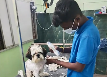 HI Tech Pet Grooming Center