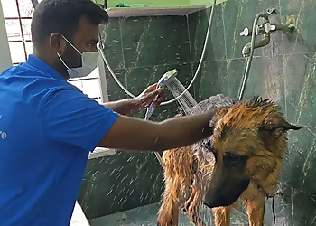 HI Tech Pet Grooming Center